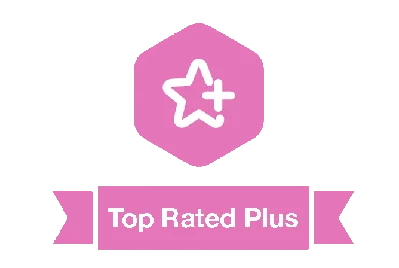 Upwork Top Rated Plus